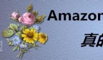 Amazon站外引流真的那么重要嗎？