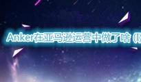 【解析】Anker在亞馬遜運營中做了啥 (I)