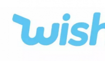 移動(dòng)跨境電商Wish成功后，都有哪些跟隨者？