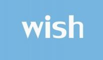 賣家們看過來 Wish 10月銷售數(shù)據(jù)大揭秘！