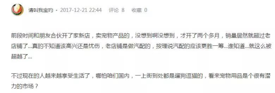 圣誕季亞馬遜寵物用品大面積爆單，賣家如何來年再戰(zhàn)？
