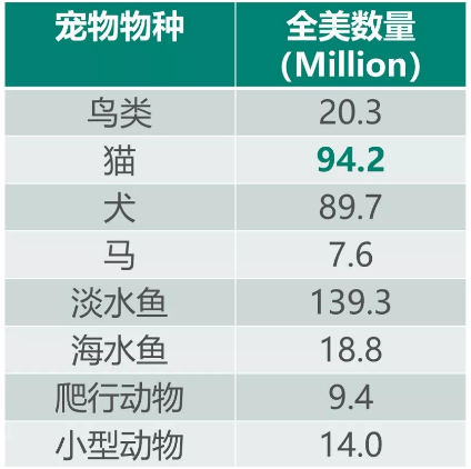 2018年不妨從這些寵物用品爆品下手，發(fā)筆萌萌噠喵咪財(cái)