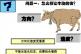 想做好運(yùn)營(yíng)，“抬頭拉車”和“低頭看路”一個(gè)都不能少